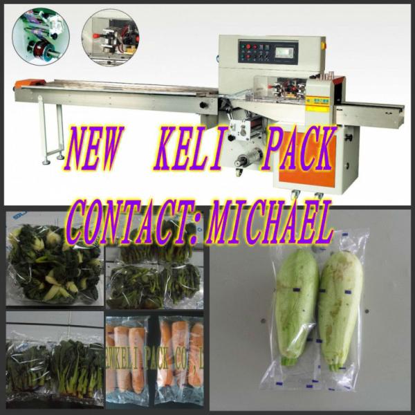 Cheap fresh cucumber packing machine flow wrapping machine for sale
