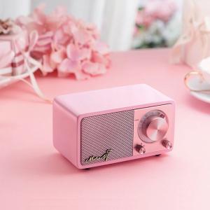 Best Portable Style Private Mold Wireless Speaker with DAB TF Card and 3.5mm Stereo Line Out wholesale