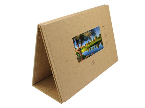 Cheap 10 inch Multimedia Displays LCD video Signs with custom logo print for retails video display in store for sale