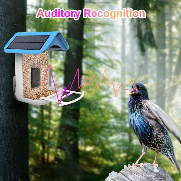 Cheap House Standing Solar Powered Smart Bird Feeder with Trail Camera for sale