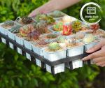 Durable Plastic Planter Tray 24 Hole Succulent Nursery Pot Cultivation Tray for