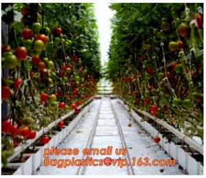 Best Film Covering Tomato Planting Greenhouse,Tomato Greenhouse film, Plastic Polyethylene sheet 6 mil 4 year UV Resistant cr wholesale