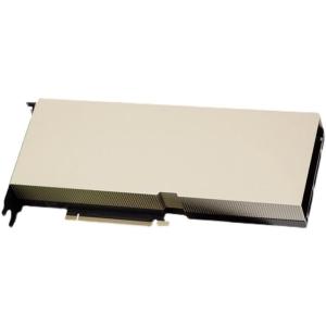 Deep Learning Accelerated Graphics Card GPU Accelerator Tesla A100 40G 80G T4 A40 48G