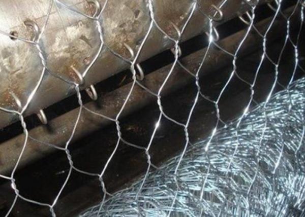 Cheap Hexagonal Galvanized Chicken Wire Mesh BWG 12 3/4" for sale
