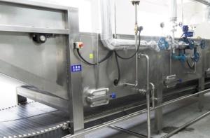 China Fruit And Vegetable Washer Machine , Vegetable Processing Unit Intelligent Operation on sale