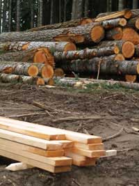 Lumber and Logs