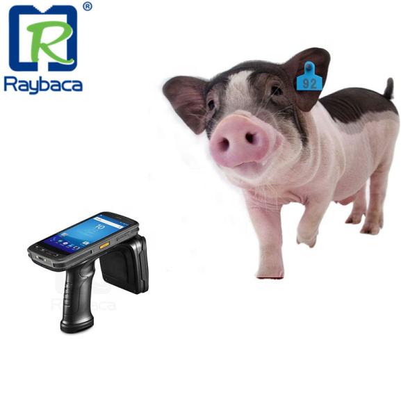 Cheap UHF 960Mhz Android System Handheld RFID Reader Support Second Development for sale