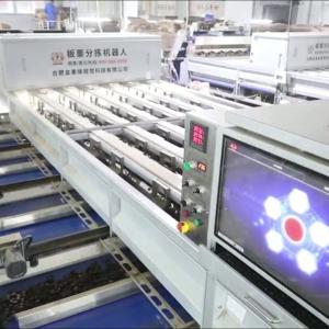 Best Enhancing Chestnut Processing Efficiency and Quality: A High-Capacity, AI-Powered Sorting Machine with 8 Lanes and 8 Outlets for Diverse Needs wholesale