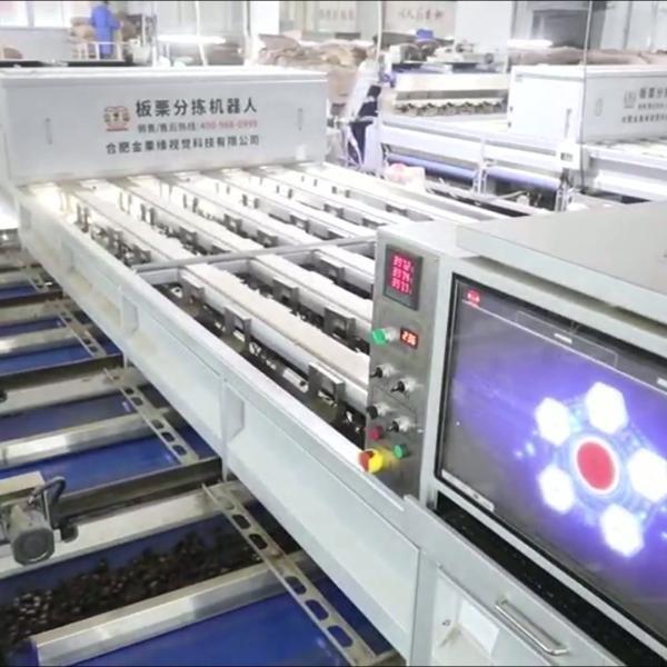 Enhancing Chestnut Processing Efficiency and Quality: A High-Capacity, AI