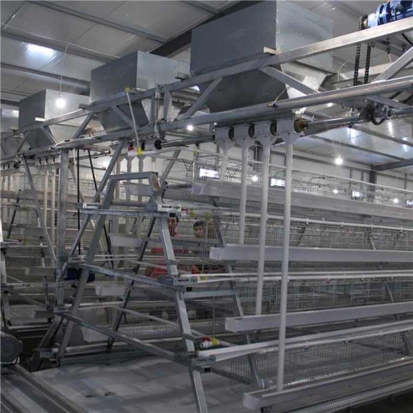 Cheap Stable Automatic Chicken Feeder System , Highly Efficient Poultry Feed Machine for sale