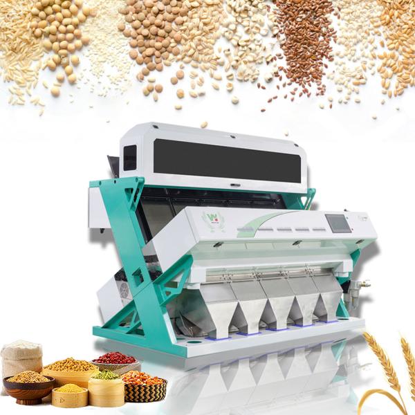 Cheap 320 Channels 2-6T/H Throughput CCD Camera Optical Wheat Sorting Machine for sale