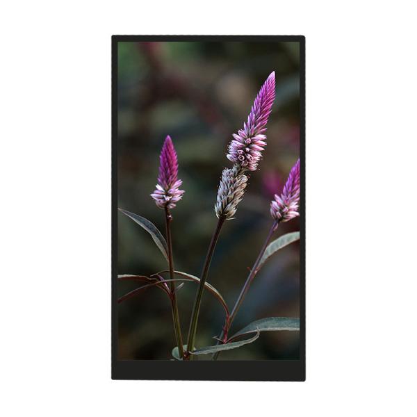Cheap 5.5 Inch TFT Display Screen 720*1280 Resolution MIPI Interface IPS for sale