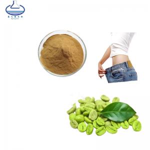 Best Green Coffee Bean Extract Weight Loss Foods Chlorogenic Acid Powder wholesale