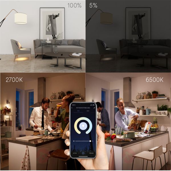 A19 Smart Dimmable Bulb