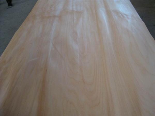 Cheap Rotary Cut Agathis Veneer Sheet, Face/Back Grade for sale