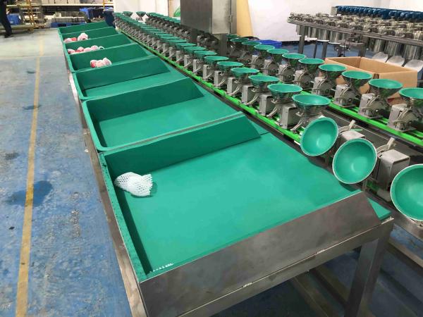 Cheap SUS 201 Tray Fruit Sorting System for sale