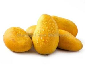 Aseptic Filling Mango Processing Machine With Brix 28-30% / 30-32% / 36-38%