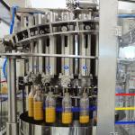 Juice And Puree Processing Machine For Pineapple Processing Line