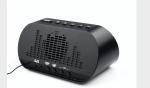 Dual USB Output Portable Clock Radio Compact Size With Temperature Display