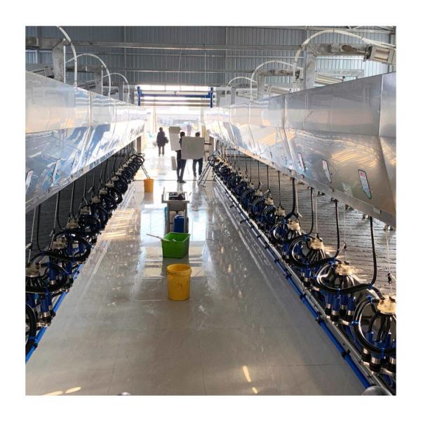 Cheap Automatic Parallel Cow  Herringbone Milking Parlor Quick Release for sale