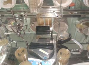 Best Sterility Testing Of Medical Devices Biological Products Test Pump Validation Minisart wholesale