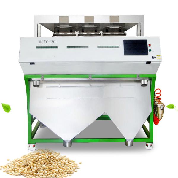 Cheap Pine Nut Optical Color Sorter With High Resolution CCD Image Acquisition System for sale