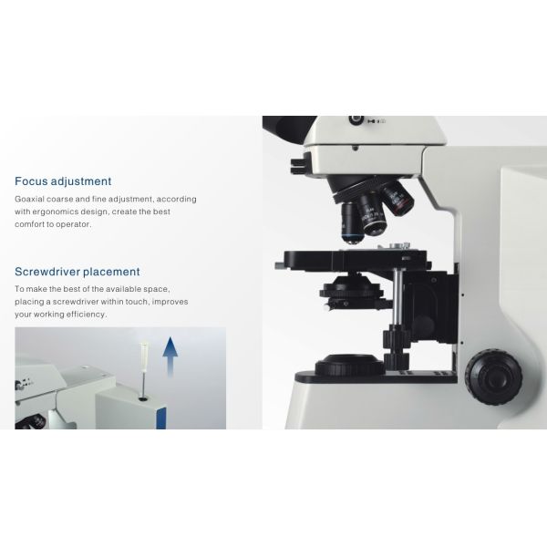 Inverted Fluorescence Laboratory Biological Microscope For Clinical Diagnosis