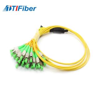 SC/APC- SC/APC fiber optic patch cord Fiber jumper SC-SC APC Multi core 12 fiber 24core