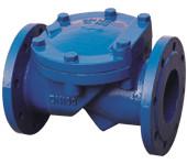 China Flanged Cast Iron G20 Swing Check Valve Non Return Valves Clappet on sale