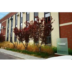 Foshan Intej Industrial Group Co., Ltd