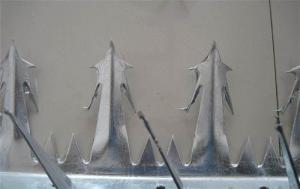 China 1m Length Large Sized SGS Hot Dipped Galvanized Anti Climb Wall Spike For Security on sale