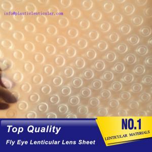 PLASTIC LENTICULAR 3d 360 lenticular printing sheet PP fly-eye lenticular sheet lenticular lens arrays