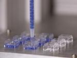 Electric Driven Meter Mix Dispensing for Dual Component Fluids User-friendly