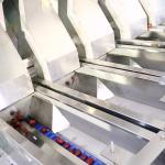 3 Ton/H Output 1-Year Warranty Red Dates Sorting Machine With CE Certificates