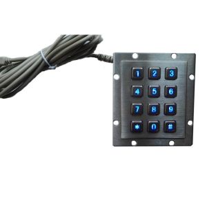 NEMA4 RS485 Wireless Number Pad , Custom Computer Numeric Keypad Panel Mounting