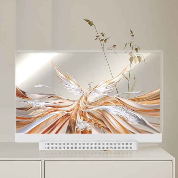 Cheap OEM ODM Transparent OLED Screen , 55 Transparent OLED Display for sale