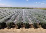 High Efficiency Customized Insect Mesh Netting 80% Windbreak Value