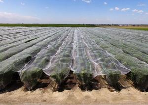 Best High Temperature Stuffy Shed Insect Mesh Netting Durable 29% Shade Value wholesale