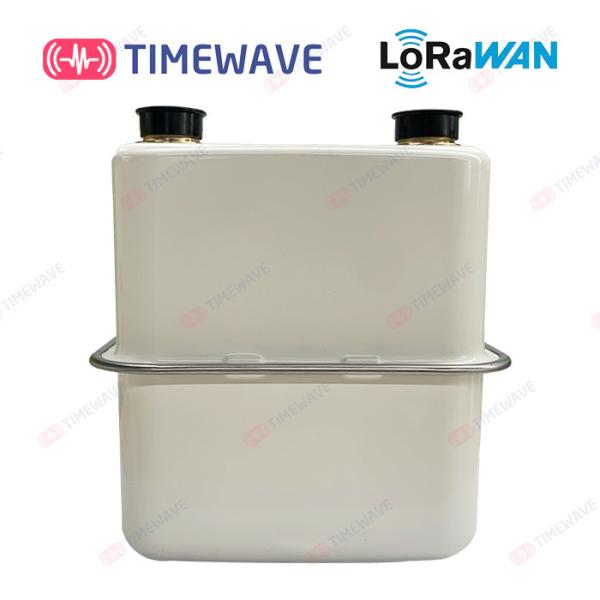Cheap LoRaWAN Smart Gas Meter Secure Gas Consumption Meter Lithium Battery for sale
