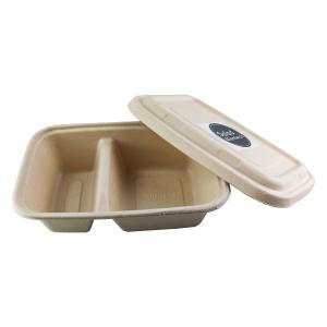 Best Biodegradable Paper Pulp Lunch Container, Sugarcane Bagasse Food Container, Disposable Tableware wholesale