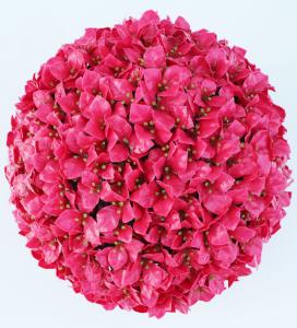 Best Flower Topiary Artificial Plant Balls Plastic Faux wholesale