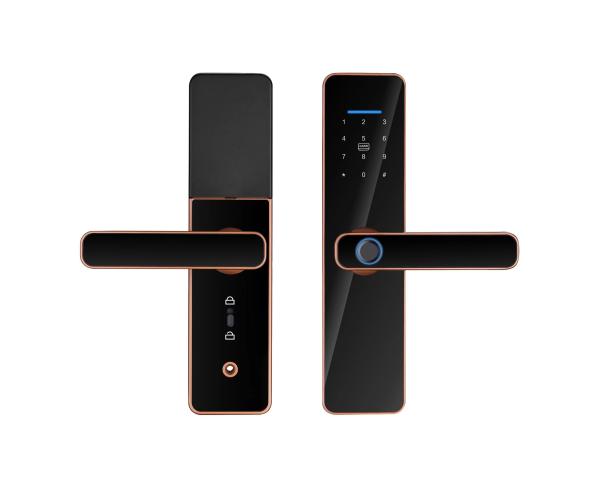 Cheap Convenient and Home Automatic Tuya Wifi Lock TTlock BLE Fingerprint Password Card Key for sale