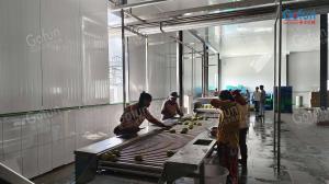 Best Complete Set Of Pineapple Processing Line Machines Selected By More Than 300 Companies Around The World wholesale