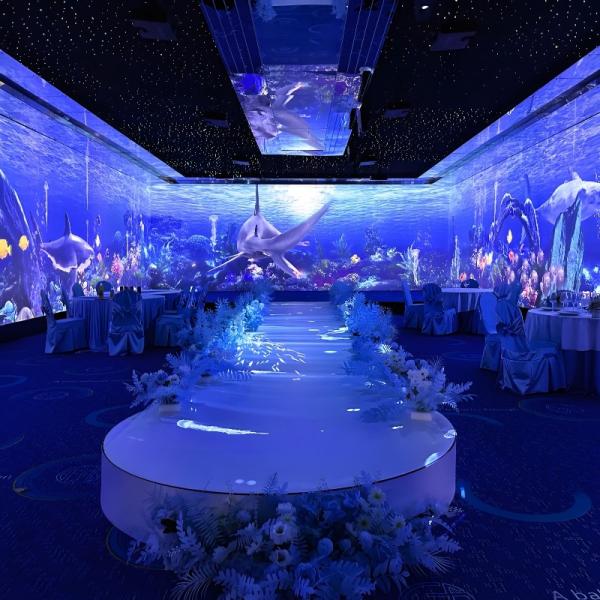 Cheap Multi Projection 3D Interactive Immersive Projector Holographic Projection for sale