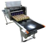 High-Speed Mobile Jet Coding Machine , Industrial Inkjet Coding Printer With