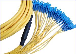 China 12 Core 24 Core SC-SC Fiber Patch Cord for Communication Network And CATV on sale