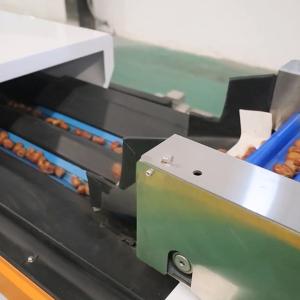 Best Efficiency Redefined Date Grading Machinery with High Accuracy And High Capacity wholesale