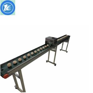 Best Advanced Design Automatic Batch Coding Machine Whole Tray Egg Inkjet Printer wholesale