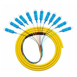 Sc APC Upc Fiber Optic Pigtail 12 Cord Fibers Bunch Pigtail Multimode Single Mode