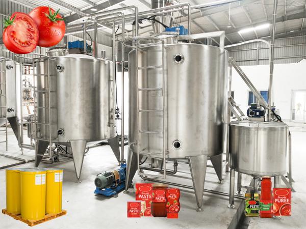 Cheap 20T/H Automatic Tomato Processing Machine 304 Stainless Steel for sale